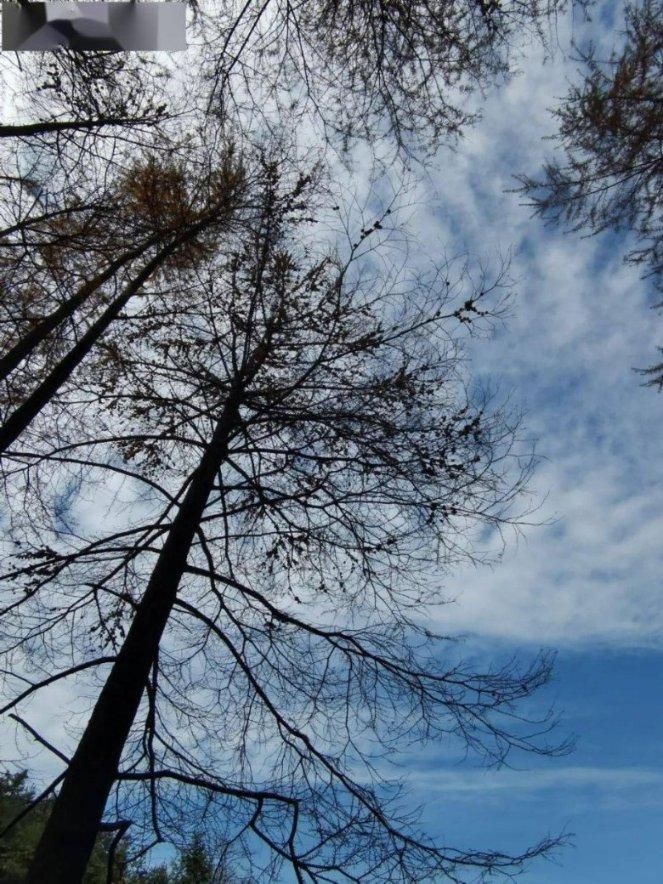 空袭敌营